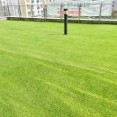 댕글댕글유치원 이미지