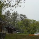 적성삼거리 티스토리