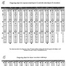 리코더 C' - G''' 운지표 - 3옥타브 음역 이미지