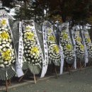 성남시청앞 인도 이미지