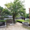 모과나무집 이미지