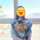 예쁜금송꽃