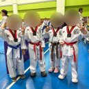 위올태권도 이미지