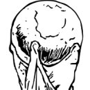 페루 피파랭킹 11위의 이유가 있네요 이미지