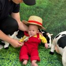 도현목장 이미지