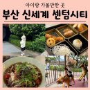 (주)라라코스트 신시계센텀시티점 | [부산 아이랑 가볼만한 곳] 신세계 센텀 맛집 후식 놀거리