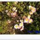 성림농원 이미지