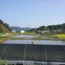 우지낚시터 이미지