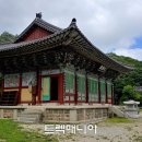 [출발-무주] 신비의 반딧불이 탐사(8/24~25) 이미지