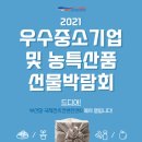 새벽전람