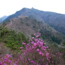 용정사 입구 | 창원 정병산(566m) 봄맞이 산행