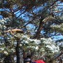 마당바위로 이미지