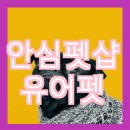 유어펫그루밍 이미지