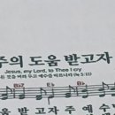 김내용농장 네이버블로그