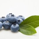 LS안경원 이미지