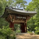 상주 남장사 보광전 목각아미타여래설법상 이미지