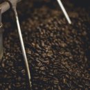 선이커피 이미지