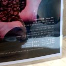 석전동203 | 마산 석전동 카페 [까사부사노 창원] 가오픈 기간 초대받아 방문한 후기