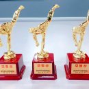 용인대 석사 양현 태권도 이미지