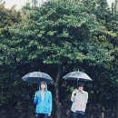 푸릇푸릇해