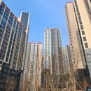 디에이치 이미지