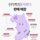 폴 바셋 강남역 삼성화재점