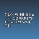 하와이 럭셔리 훌라쇼 디너, 신혼여행에 딱! 최고급 공연 5가지 추천
