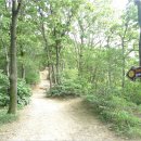 오천읍 해와달 이미지