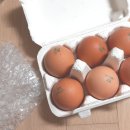 농부의아침영농조합법인 네이버블로그