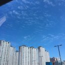 인지세차장 이미지