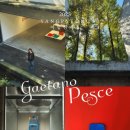 탄현청소년문화의집 2층 별카페 | 양평 미술관 이함캠퍼스 전시 • 가에타노페세 가구전 Gaetano Pesce | 불완전함은 아름답다