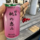 와세다의원 | [후쿠시마] 한국청년방일단 2일차