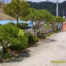 명호당구장 이미지