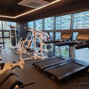 브라움 짐 이미지