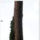 성연2로 이미지