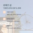 고요한 숲 이미지