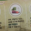 유로야채과일