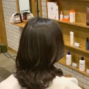 하단동1021 | 부산 하단 미용실 티는헤어 중단발 빌드펌 후기