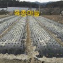 숙이농장 이미지