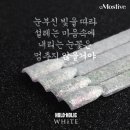 칼라홀릭