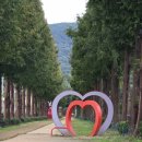 덕산방앗간 | 예산 여행 코스 당일치기 추천 : 보부상촌·메타세콰이어·출렁다리 까지 총정리