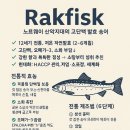 G19 | g19, 노르웨이 대표 전통음식, 발효 송어 Rakfisk (라크피스크). 이박사의 힐링 더하기