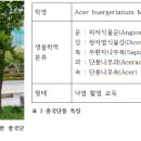 생장추 네이버블로그