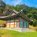 의령 백련암 목조보살좌상과 복장유물 이미지