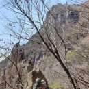 교산농장 | 20190323-24근교산1박(천성산)산행