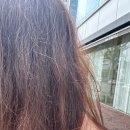 정연헤어센스 | 상무지구 미용실 매직 잘하는 곳 하이퍼헤어 광주상무지구점 후기