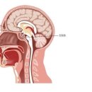 경희가인한의원 이미지