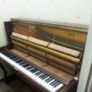 한소리음악학원 이미지