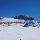 한라산 선작지왓 이미지