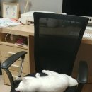 네이쳐 PC방 이미지